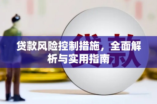 九如贷款风险控制措施，全面解析与实用指南