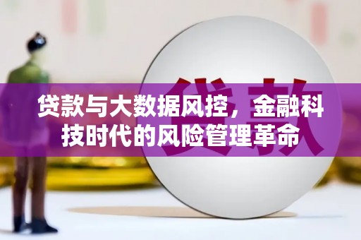 九如贷款与大数据风控，金融科技时代的风险管理革命