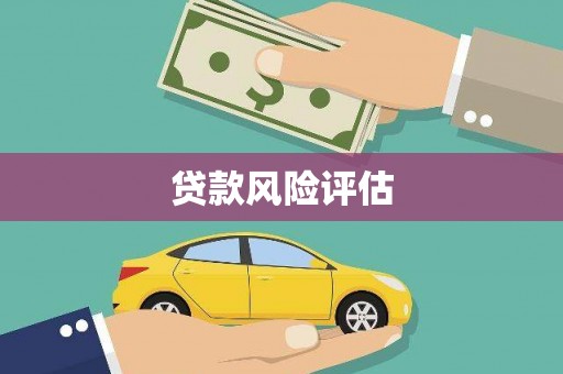 九如贷款风险评估
