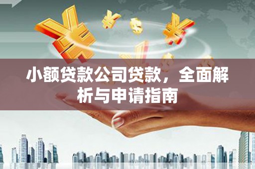 九如小额贷款公司贷款，全面解析与申请指南