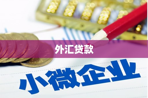 九如外汇贷款