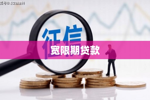 九如宽限期贷款