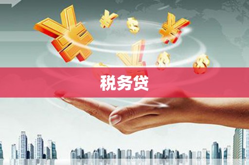 九如税务贷