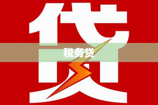 九如税务贷