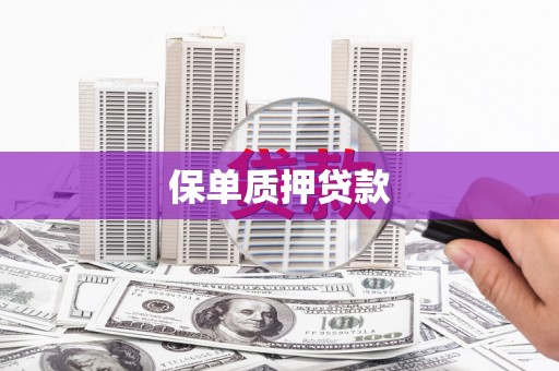 九如保单质押贷款