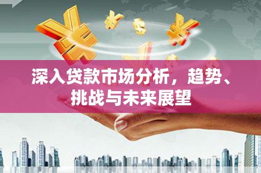 九如深入贷款市场分析，趋势、挑战与未来展望