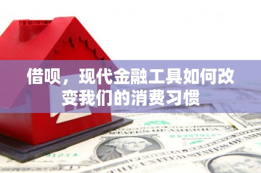 九如借呗，现代金融工具如何改变我们的消费习惯