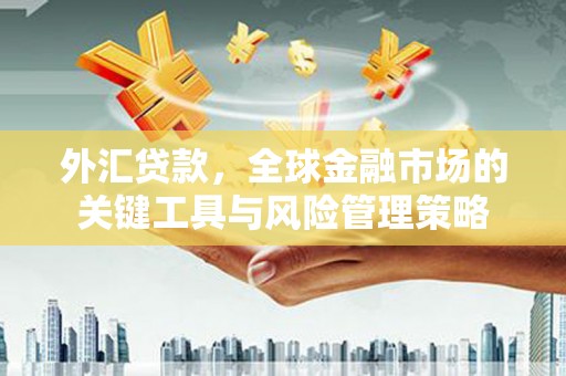 九如外汇贷款，全球金融市场的关键工具与风险管理策略