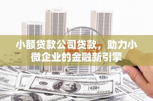 九如小额贷款公司贷款，助力小微企业的金融新引擎