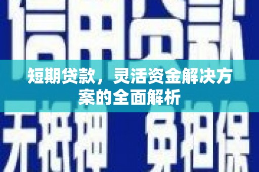 九如短期贷款，灵活资金解决方案的全面解析