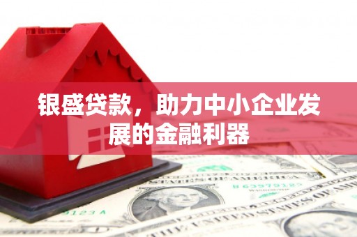 九如银盛贷款，助力中小企业发展的金融利器