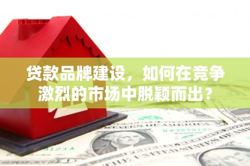 九如贷款品牌建设，如何在竞争激烈的市场中脱颖而出？