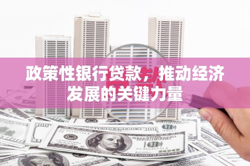 九如政策性银行贷款，推动经济发展的关键力量