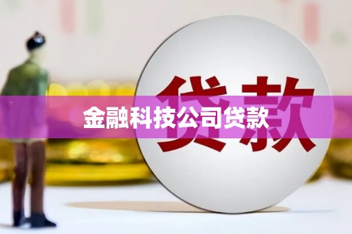 九如金融科技公司贷款