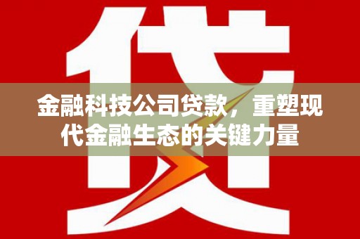 九如金融科技公司贷款，重塑现代金融生态的关键力量