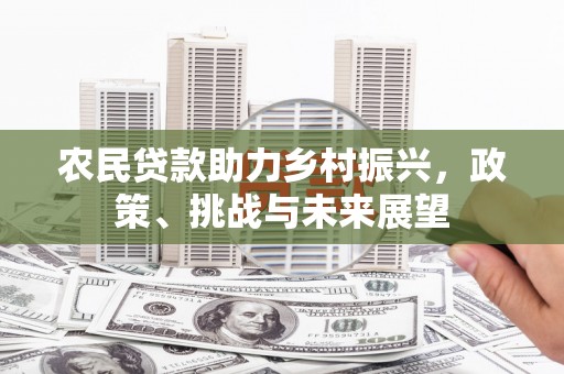 九如农民贷款助力乡村振兴，政策、挑战与未来展望