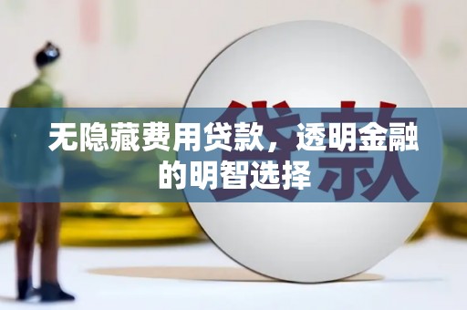 九如无隐藏费用贷款，透明金融的明智选择