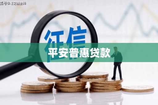 九如平安普惠贷款