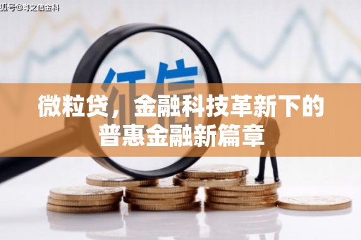 九如微粒贷，金融科技革新下的普惠金融新篇章