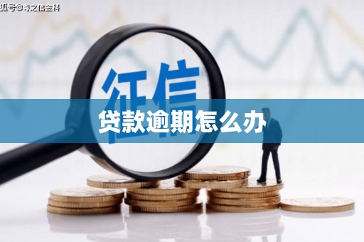 九如贷款逾期怎么办