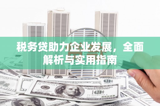 九如税务贷助力企业发展，全面解析与实用指南