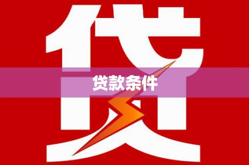 九如贷款条件