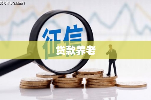 九如贷款养老