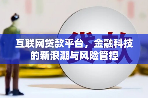 九如互联网贷款平台，金融科技的新浪潮与风险管控