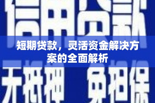 九如短期贷款，灵活资金解决方案的全面解析