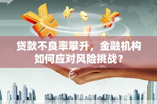 九如贷款不良率攀升，金融机构如何应对风险挑战？