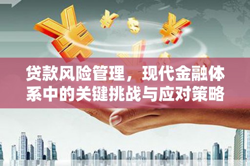 九如贷款风险管理，现代金融体系中的关键挑战与应对策略