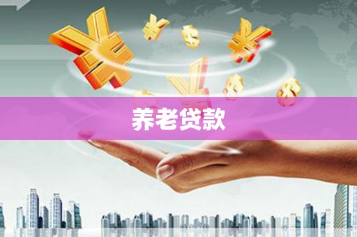 九如养老贷款