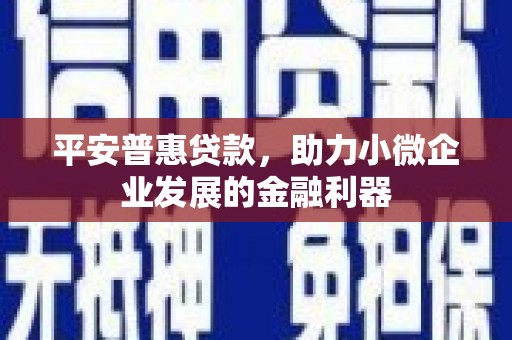 九如平安普惠贷款，助力小微企业发展的金融利器