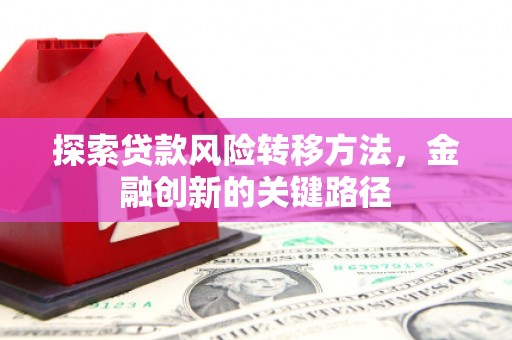 九如探索贷款风险转移方法，金融创新的关键路径