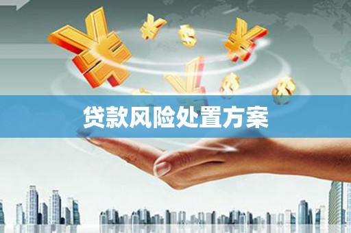 九如贷款风险处置方案