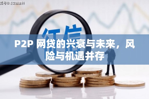 九如P2P 网贷的兴衰与未来，风险与机遇并存