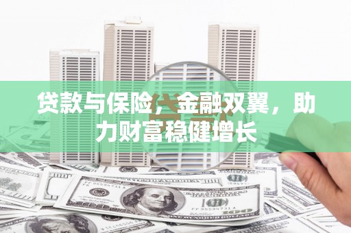 九如贷款与保险，金融双翼，助力财富稳健增长