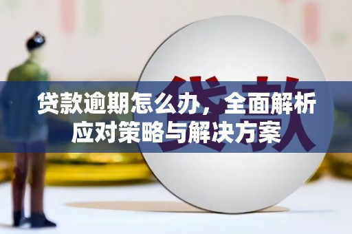 九如贷款逾期怎么办，全面解析应对策略与解决方案