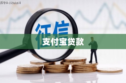 九如支付宝贷款