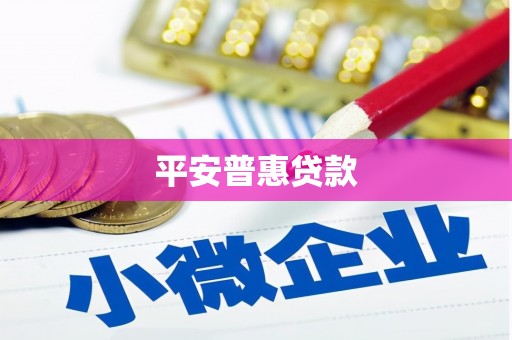 九如平安普惠贷款