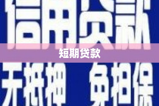 九如短期贷款